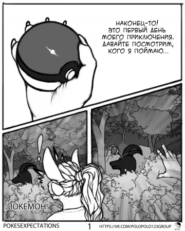 Pokesexpectations