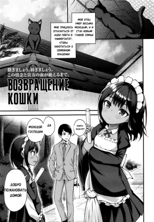 Neko no Ongaeshi (Возвращение Кошки)